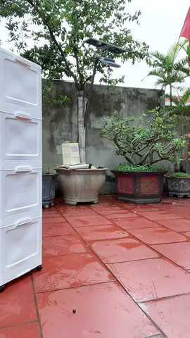 Tủ đựng đồ đa năng #tudungdodanang #tudungdo #tunhua #tunhuadanang #namnhacua90 