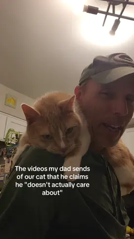 Please keep commenting your dads and cats ❤️❤️#catsoftiktok #cat #jumpingcat 