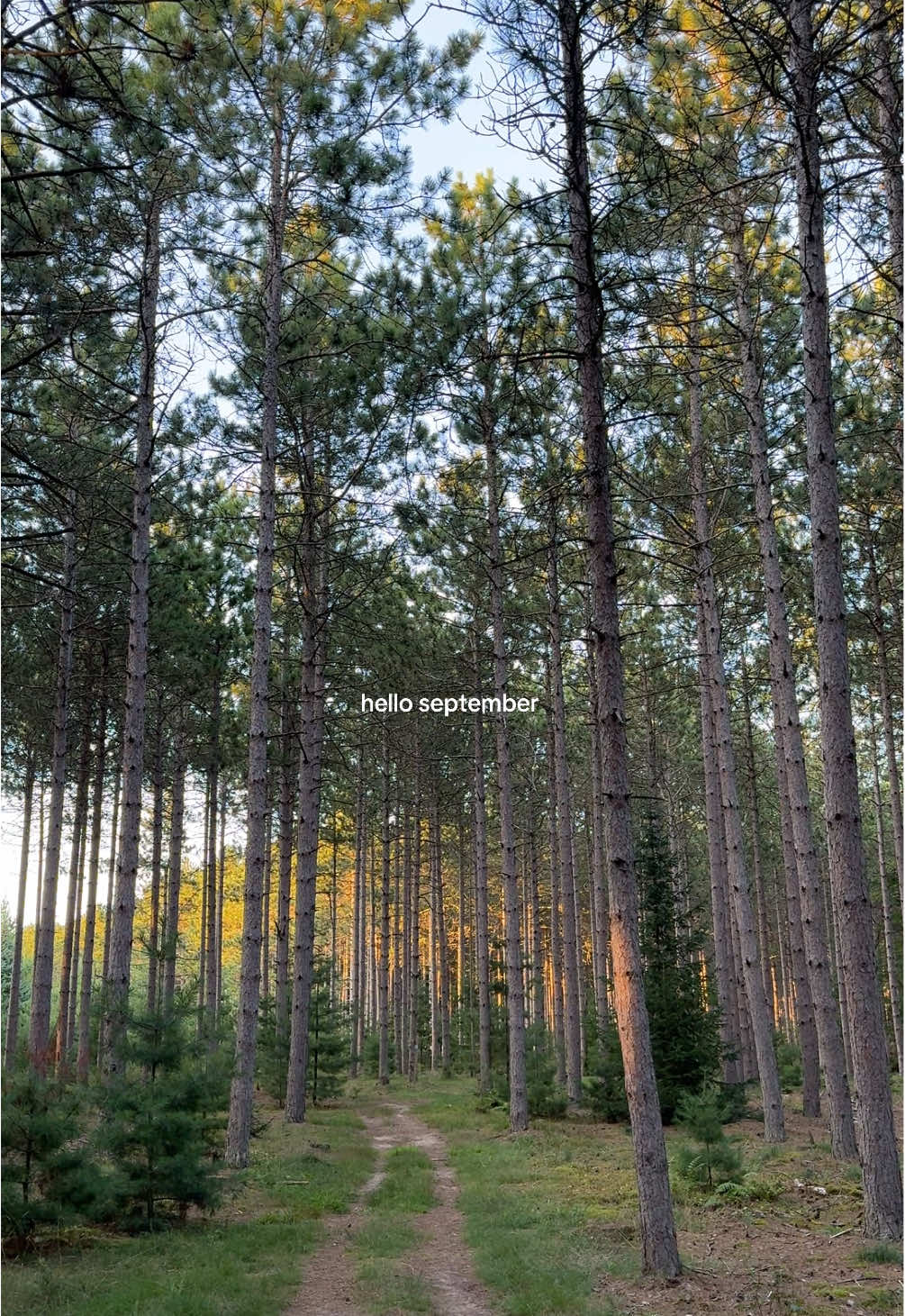 ready or not here comes fall 🍂 #september #midwest #wisconsin #fall #doorcounty  