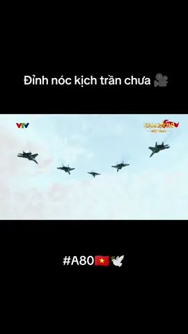 Đủ wao rồi đó. Đỉnh nóc kịch trần bay phấp phới 🇻🇳🌻🕊️#chutichhochiminh #a80 #vietnam #chxhcnvn 