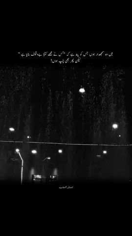 میں وہ سمجھدار ہوں جس کو پتہ ہے کہ 