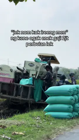 🤪🤪🤪 #combineharvester #bimo102ss #gabahgank #putratunggalgrup #putratunggal 