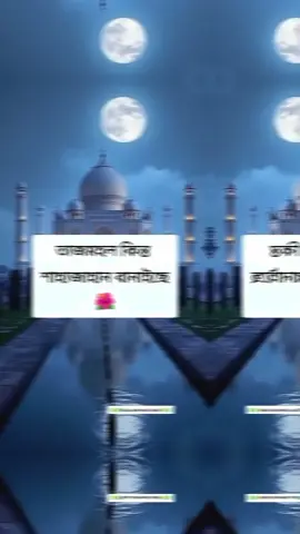 #তাজমহল কিন্তু শাহজাহান বানাইছে#ইমোশনাল_ভিডিও💔 #💐razu💐 #foryoupage #unfrezzmyaccount @#foryou 