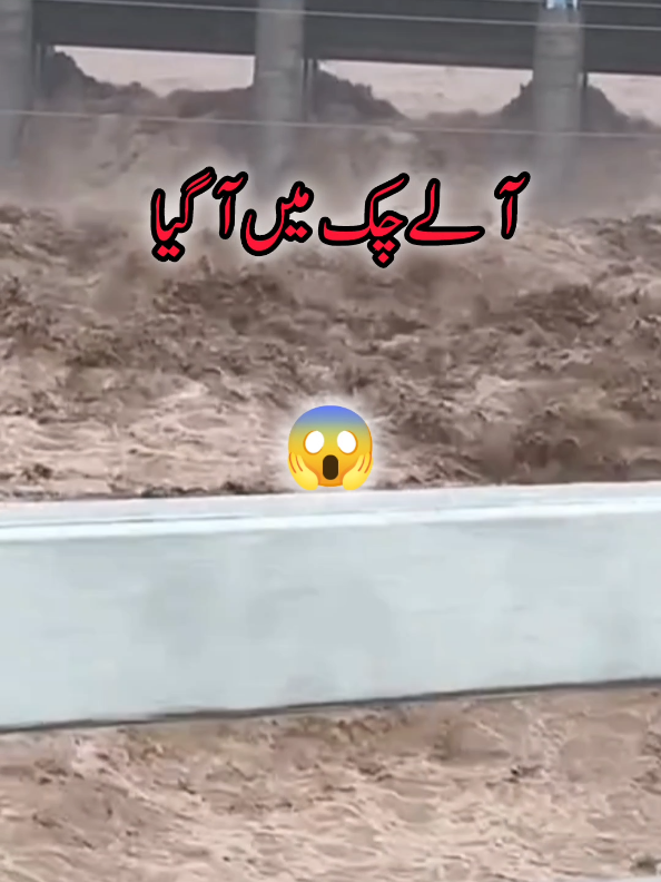 #Ravi #vichy #pani #koini🤣🤣🤣🤣  #🌾میرا🎋سہنڑا🍁پنڈ🌼پیر🌱کوڑا🏵️🌲ضلع۔بہاولپور🥀 