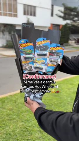 Mándale este vídeo para que no te deje ser espectador 🥺🏎️🏁💔 #fyp #parati #hotwheels #30deseptiembre #hotwheelscollections 