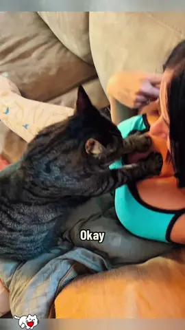He wasn’t prepared for multiple choice#funny #catsoftiktok #cat #foryou #fyp 