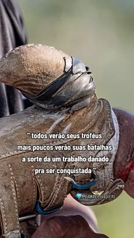 #cavalo #foryou #story #vaqueiro #nordeste 