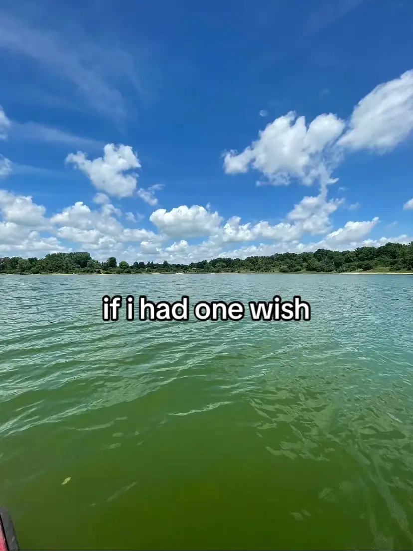 #meme #viral #funny #blowthisup #fyp 