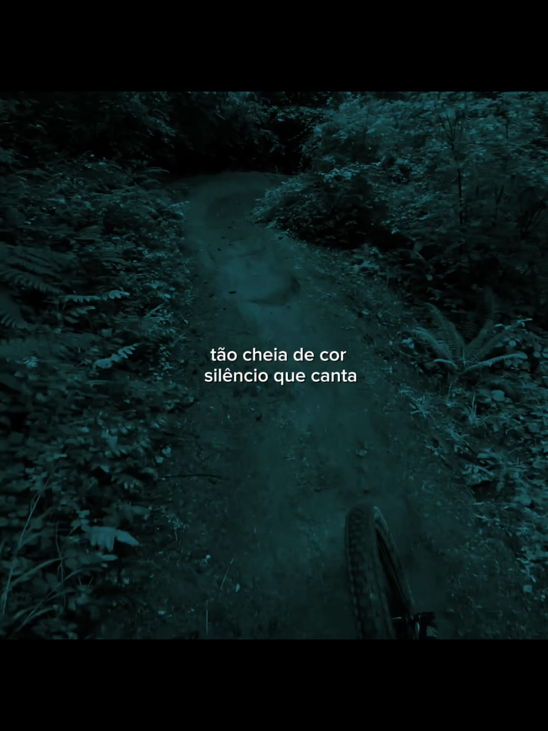this song | #lirycs_songs #lyrics #songs #phonk #thissong 