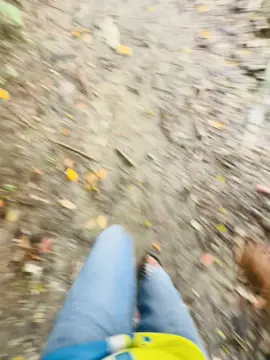 😅🐸
