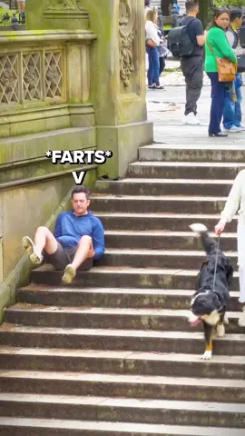 #fart #fartprank #foryou #fypシ  #prank 