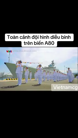 Toàn cảnh đội hình diễu binh trên biển A80 #xuhuong #pfy #a80 