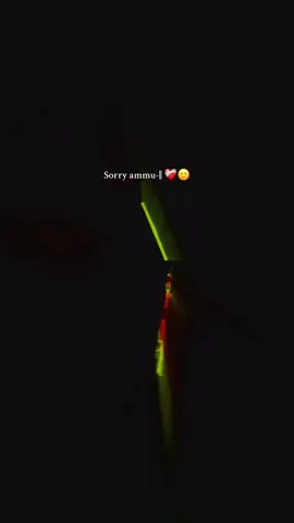 আমি এমন ছিলাম না আম্মু