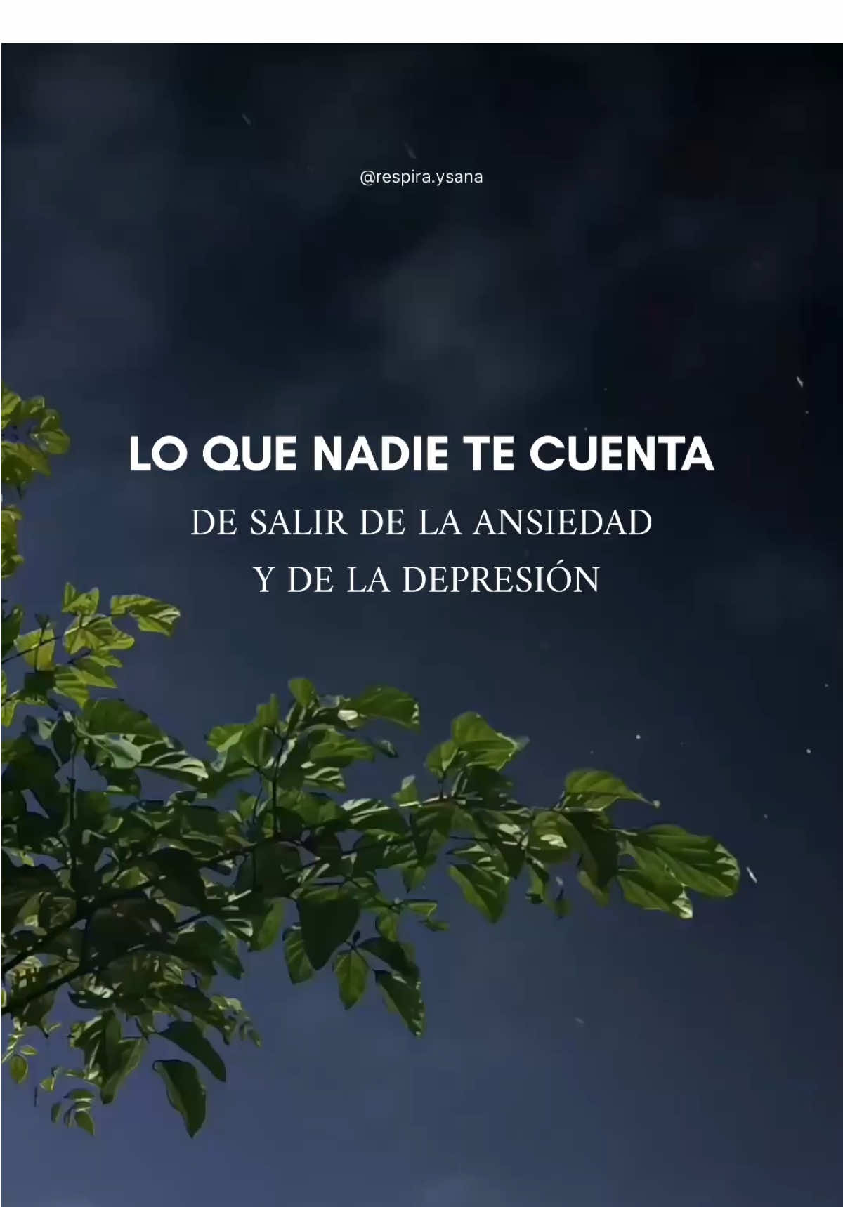 Nadie te dice lo difícil que es salir de la ansiedad y la depresión. No es rápido, no es lineal, y muchas veces no es bonito… pero cada pequeño paso, incluso el más mínimo, cuenta. Si hoy te cuesta levantarte, respira: no estás solo/a. Y si esto resonó contigo, guárdalo y compártelo con alguien que lo necesite. 💙 #a#ansiedadd#depresions#saludemocionala#autoestimasaludmental 