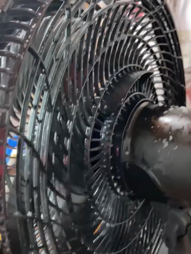 Combina estos ingredientes y deja tu ventilador más limpio que nunca 🤩 #ideas #trends #fyp 