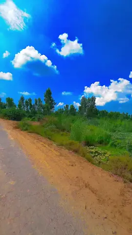 #dontunderreviewmyvideo #frpシ #viralvideo #foryoupage #plzunfrezemyaccount 