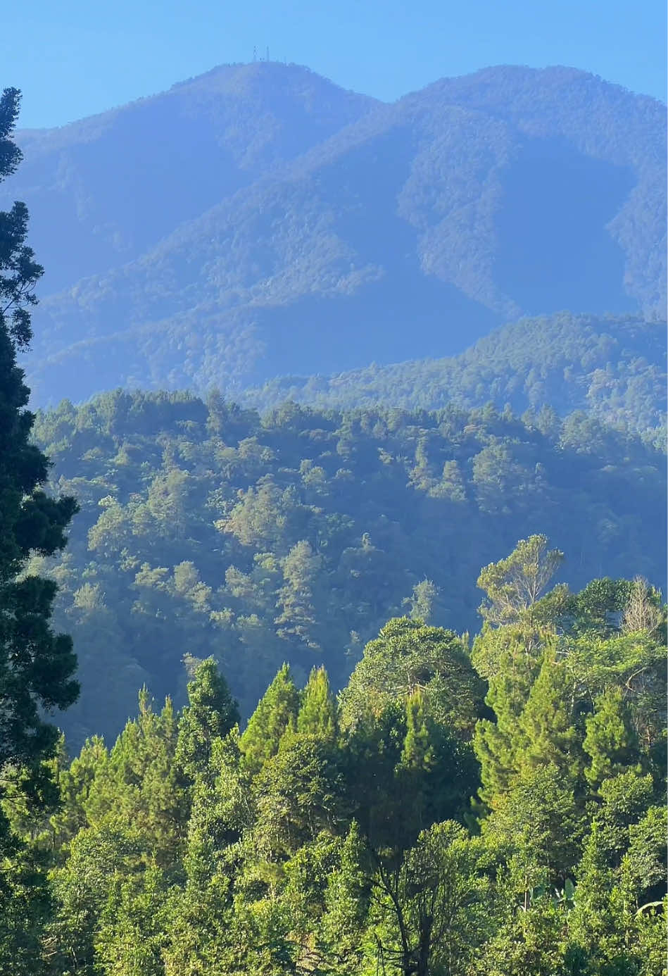 Seindah ini pemandangan di jalan menuju Dieng via Deles 🍃 📍Deles, Bawang, Batang #dieng #deles #bawang 