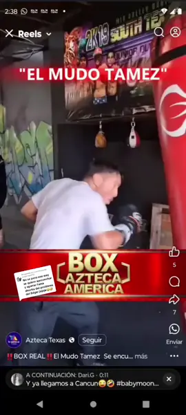 Respuesta a @ericktrejo253 #teammudo🤫 #tamaulipas #💯🇲🇽🇺🇲 #boxing 