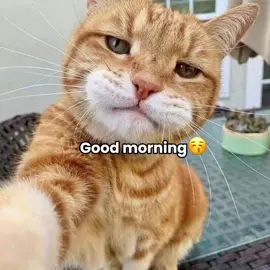 Good morning moti 💝😝 #fypシ゚ #foryoupage #foryou #fyppppppppppppppppppppppp 