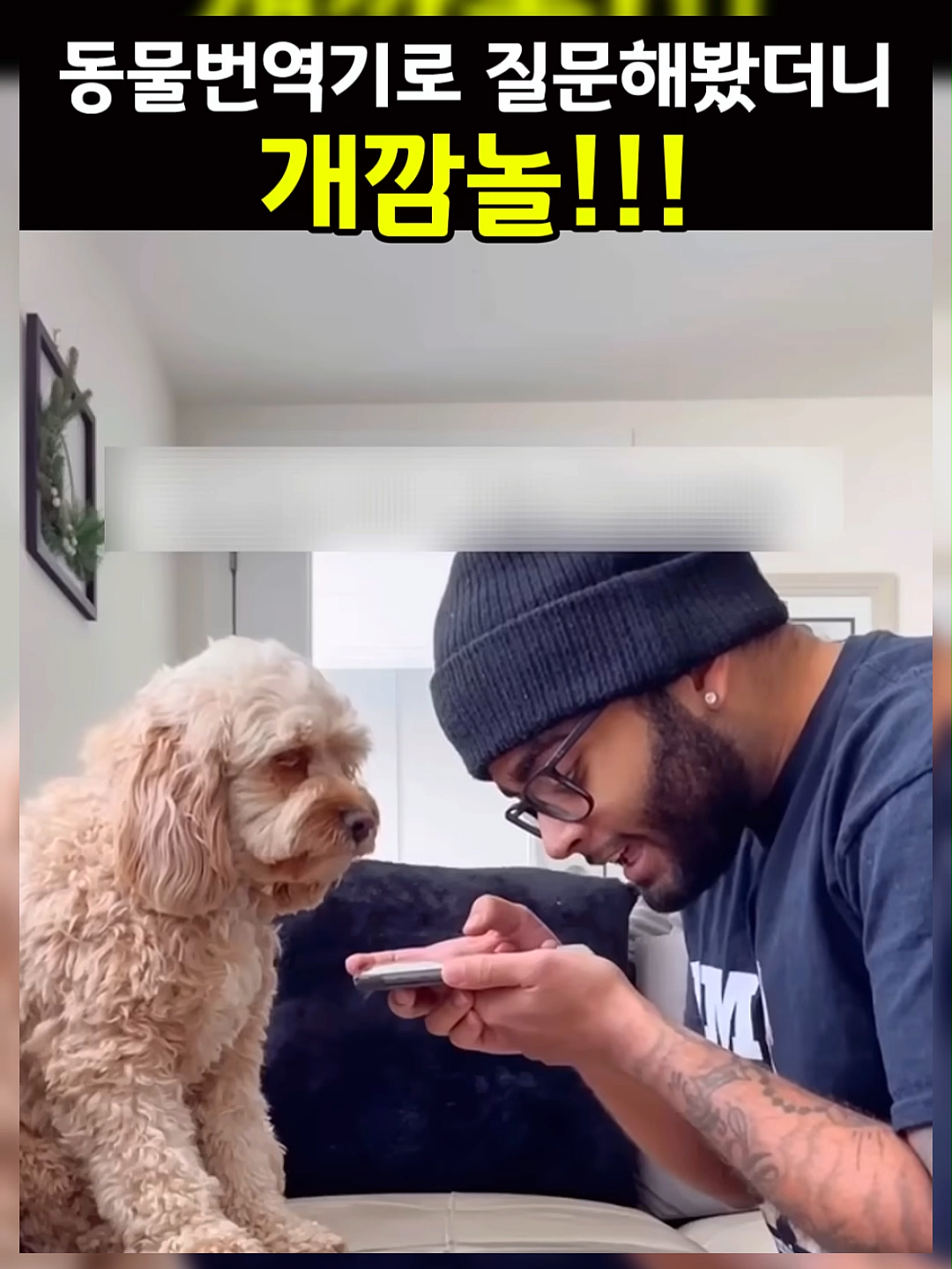 내 말 알아듣겠니 댕댕이, 냥이가 알아듣는 놀라운 동물번역 앱의 신