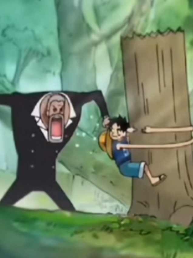 todo es culpa de ese pelirrojo #onepiece #monkeydgarp #Garp #monkeydluffy #PECHURINACONPAPA 