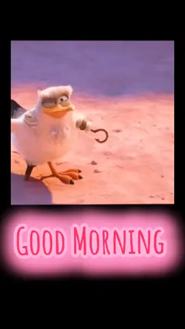 #goodmorning  #dancer #fyp #bird #laughing 