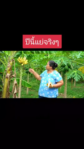 ปีนี้เศรษฐกิจแย่มาก #ai #ตลกๆ #ขําขํานะ 