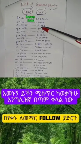 part 173: basic English grammar _ has Vs have  #bestenglishinamharic #englishteacher #fyp #LearnOnTikTok #amharic #habeshatiktok #eritreantiktok🇪🇷🇪🇷habesha #ethiopian_tik_tok🇪🇹🇪🇹🇪🇹🇪🇹 