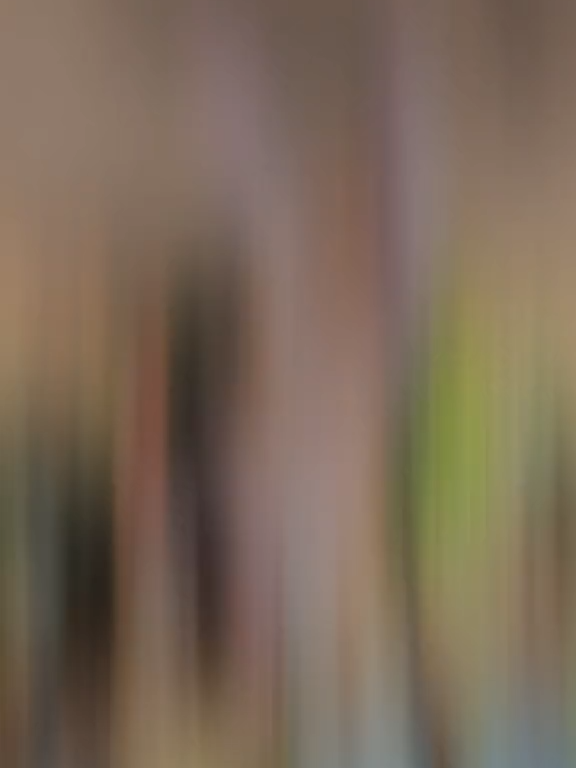 Okayy đi bỉnn 🤪