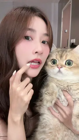 เป็นไง#พอร์ชเปช่อ #แมวเต้น #สวนสัตว์tiktok #auyaey13 