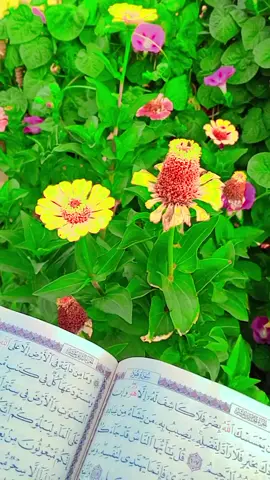 :لَاْإِلٰهَإِلّاْاللّٰه 💗 أَسْتَغْفِرُاللّٰه 💗 الْحَمْدُلِلّٰه 💗 سُبْحَانَاللّٰه 💗 لَاْإِلٰهَإِلّاْاللّٰه 💗 أَسْتَغْفِرُاللّٰه 💗 سُبْحَانَاللّٰه 💗 أَسْتَغْفِرُاللّٰه 🤎 سُبْحَانَاللّٰه 🤎 أَسْتَغْفِرُاللّٰه 🤎 لَاْإِلٰهَإِلّاْاللّٰه 🤎😍 الْحَمْدُلِلّٰه سُبْحَانَاللّٰه 💗 لَاْإِلٰهَإِلّاْاللّٰه 😍 أَسْتَغْفِرُاللّٰه 🤎 سُبْحَانَاللّٰه 😍 لَاْإِلٰهَإِلّاْاللّٰه 💗 أَسْتَغْفِرُاللّٰه 😍 الْحَمْدُلِلّٰه 🥰 لَاْإِلٰهَإِلّاْاللّٰه 🥰 أَسْتَغْفِرُاللّٰه 🤍 إِنْشَاءَاللّٰه 🩵 سُبْحَانَاللّٰه 🤍 لَاْإِلٰهَإِلّاْاللّٰه 😍 أَسْتَغْفِرُاللّٰه 🖤 الْحَمْدُلِلّٰه 🥰 لَاْإِلٰهَإِلّاْاللّٰه 💗 أَسْتَغْفِرُاللّٰه 🩵 الْحَمْدُلِلّٰه لَاْإِلٰهَإِلّاْاللّٰه 💗 أَسْتَغْفِرُاللّٰه 💗 الْحَمْدُلِلّٰه 💗 سُبْحَانَاللّٰه 💗 لَاْإِلٰهَإِلّاْاللّٰه 💗 أَسْتَغْفِرُاللّٰه 💗 سُبْحَانَاللّٰه 💗 أَسْتَغْفِرُاللّٰه 🤎 سُبْحَانَاللّٰه 🤎 أَسْتَغْفِرُاللّٰه 🤎 لَاْإِلٰهَإِلّاْاللّٰه 🤎😍 الْحَمْدُلِلّٰه سُبْحَانَاللّٰه 💗 لَاْإِلٰهَإِلّاْاللّٰه 😍 أَسْتَغْفِرُاللّٰه 🤎 سُبْحَانَاللّٰه 😍 لَاْإِلٰهَإِلّاْاللّٰه 💗 أَسْتَغْفِرُاللّٰه 😍 الْحَمْدُلِلّٰه 🥰 لَاْإِلٰهَإِلّاْاللّٰه 🥰 أَسْتَغْفِرُاللّٰه 🤍 إِنْشَاءَاللّٰه 🩵 سُبْحَانَاللّٰه 🤍 لَاْإِلٰهَإِلّاْاللّٰه 😍 أَسْتَغْفِرُاللّٰه 🖤 الْحَمْدُلِلّٰه 🥰 لَاْإِلٰهَإِلّاْاللّٰه 💗 أَسْتَغْفِرُاللّٰه 🩵 الْحَمْدُلِلّٰه لَاْإِلٰهَإِلّاْاللّٰه 💗 أَسْتَغْفِرُاللّٰه 💗 الْحَمْدُلِلّٰه 💗 سُبْحَانَاللّٰه 💗 لَاْإِلٰهَإِلّاْاللّٰه 💗 أَسْتَغْفِرُاللّٰه 💗 سُبْحَانَاللّٰه 💗 أَسْتَغْفِرُاللّٰه 🤎 سُبْحَانَاللّٰه 🤎 أَسْتَغْفِرُاللّٰه 🤎 لَاْإِلٰهَإِلّاْاللّٰه 🤎😍 الْحَمْدُلِلّٰه سُبْحَانَاللّٰه 💗 لَاْإِلٰهَإِلّاْاللّٰه 😍 أَسْتَغْفِرُاللّٰه 🤎 سُبْحَانَاللّٰه 😍 لَاْإِلٰهَإِلّاْاللّٰه 💗 أَسْتَغْفِرُاللّٰه 😍 الْحَمْدُلِلّٰه 🥰 لَاْإِلٰهَإِلّاْاللّٰه 🥰 أَسْتَغْفِرُاللّٰه 🤍 إِنْشَاءَاللّٰه 🩵 سُبْحَانَاللّٰه 🤍 لَاْإِلٰهَإِلّاْاللّٰه 🤍