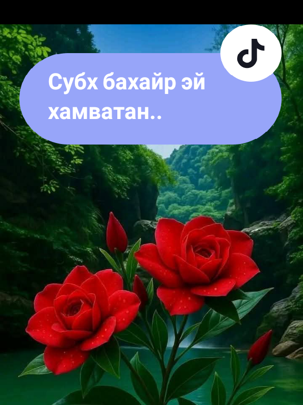#creatorsearchinsights #таджикистан🇹🇯точикистон #Davlatali0505 #зиндаги😔💔 #субхатон ба хайру шодмонихо бошад..