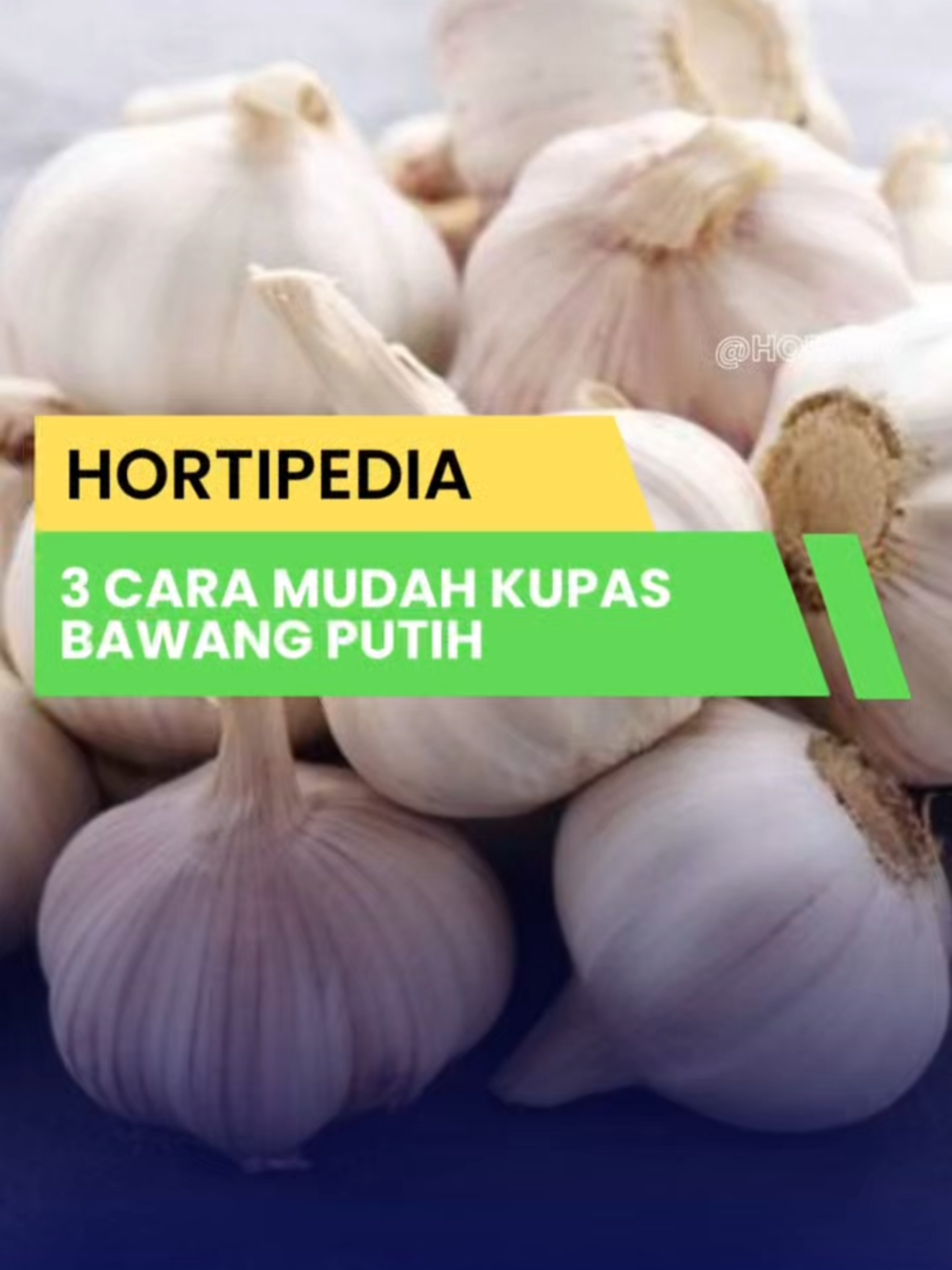 Kesulitan mengupas bawang putih? yuk simak dan coba 3 tips berikut ini. @lambetani @kementanri #fypシ #tiktokviral #viraltiktok #virall #trendingsound #trendingtiktok #trending #trend #fyp #fyppppppppppppppppppppppp #foryour #foryourpage #bawangputih #viral #viralvideo #semai #bibit #teknik #menanam #berkebun #petanimuda #petaniindonesia #tipsbermanfaat