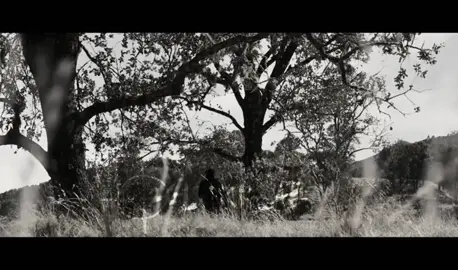 ⌖ZODIAC⌖ #thezodiac #movie #fake #zodiac #edit i dislike the 5 hashtags