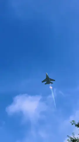 #a80 #su30 