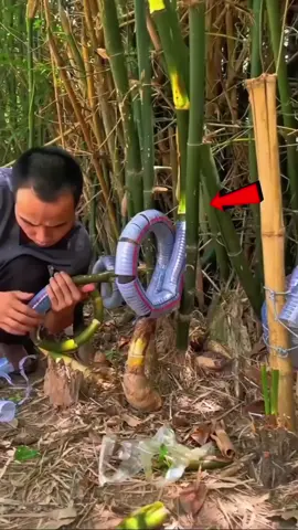 They Put a Pipe on a Plant & Made a Fortune
