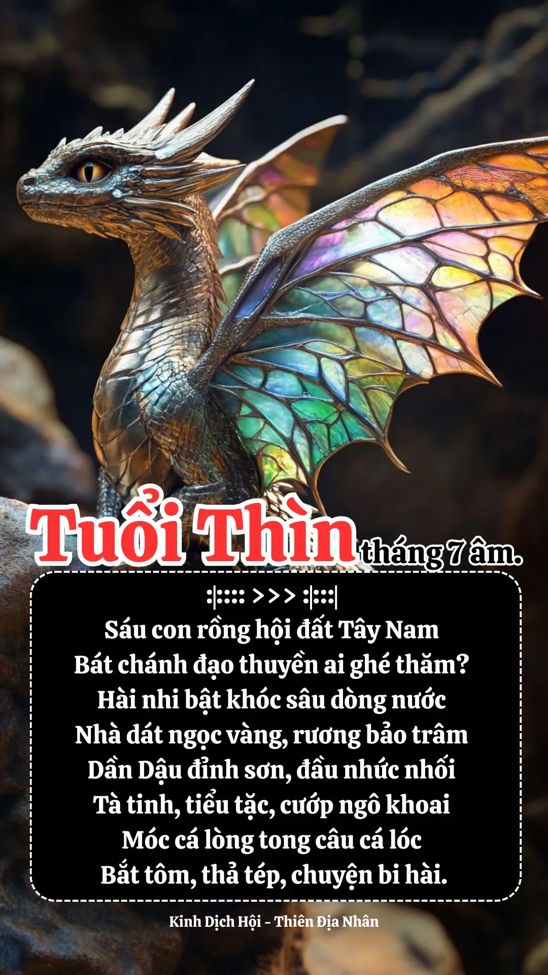 #kinhdichhoithiendianhan #2025 #dichsuthuyngo #tuoithin 