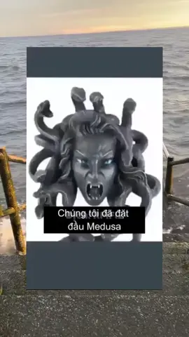 #foryou #memes #anhlong3307 #funnyvideos #fyp 