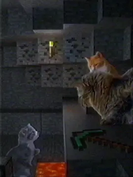 #cat #Minecraft 