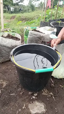 kasih minum tanaman tanamanku