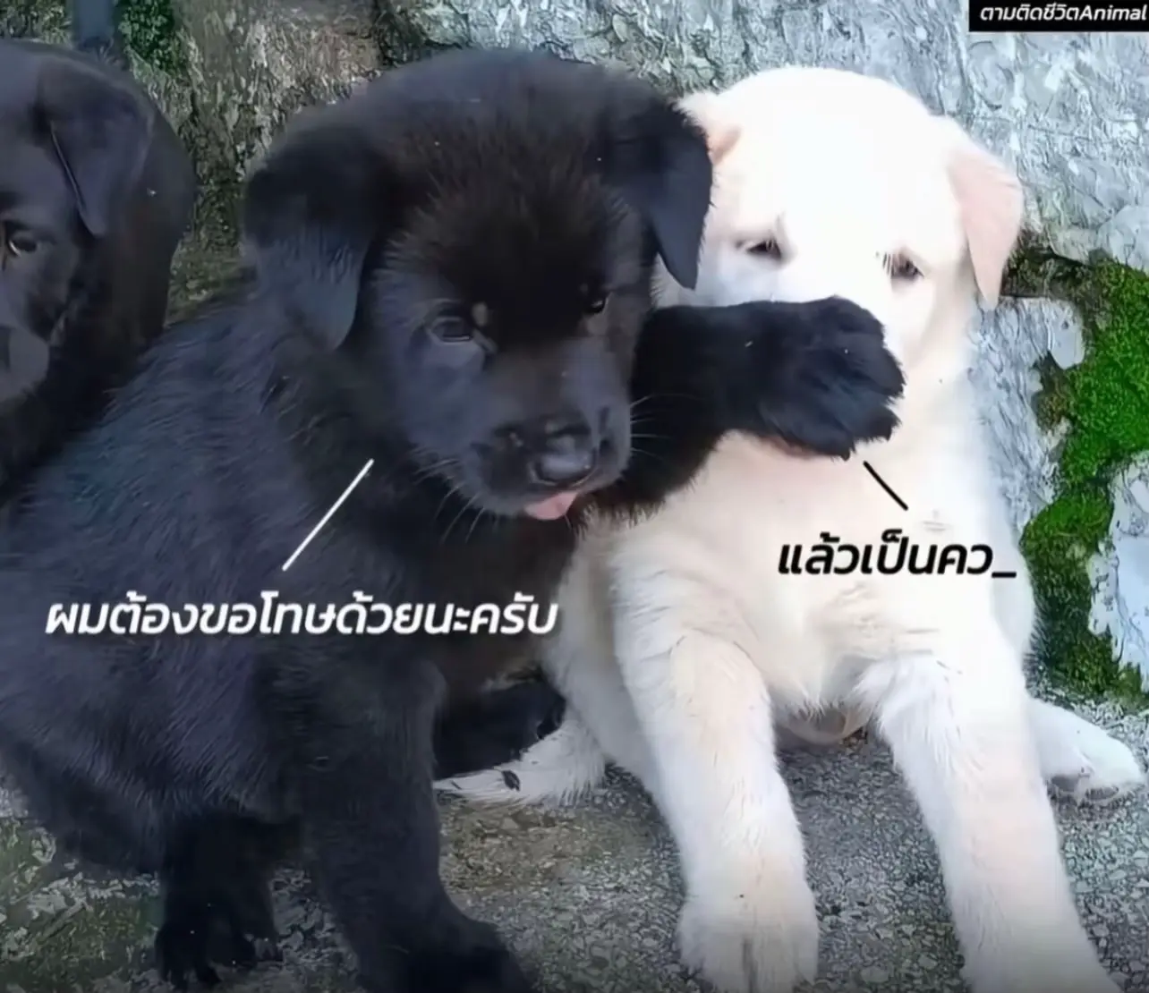 @ซีคิ้ววว💖 #คุณยี่หวา💚 #ดาราเด็กแว๊น #ว่างก็ออก #fyppppppppppppppppppppppp 
