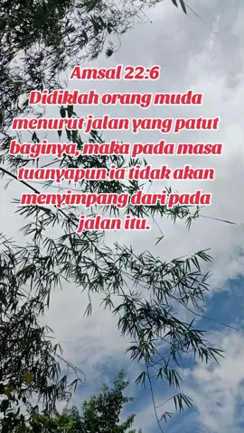 Amsal 22:6#firmantuhanhariini❤❤ #ayatalkitab 