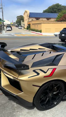 Doubled up 🤯 #monterey #exotics #svj 