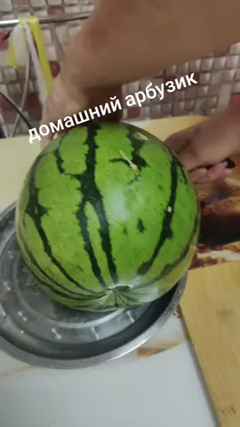 домашний арбузик,выращенный на огороде