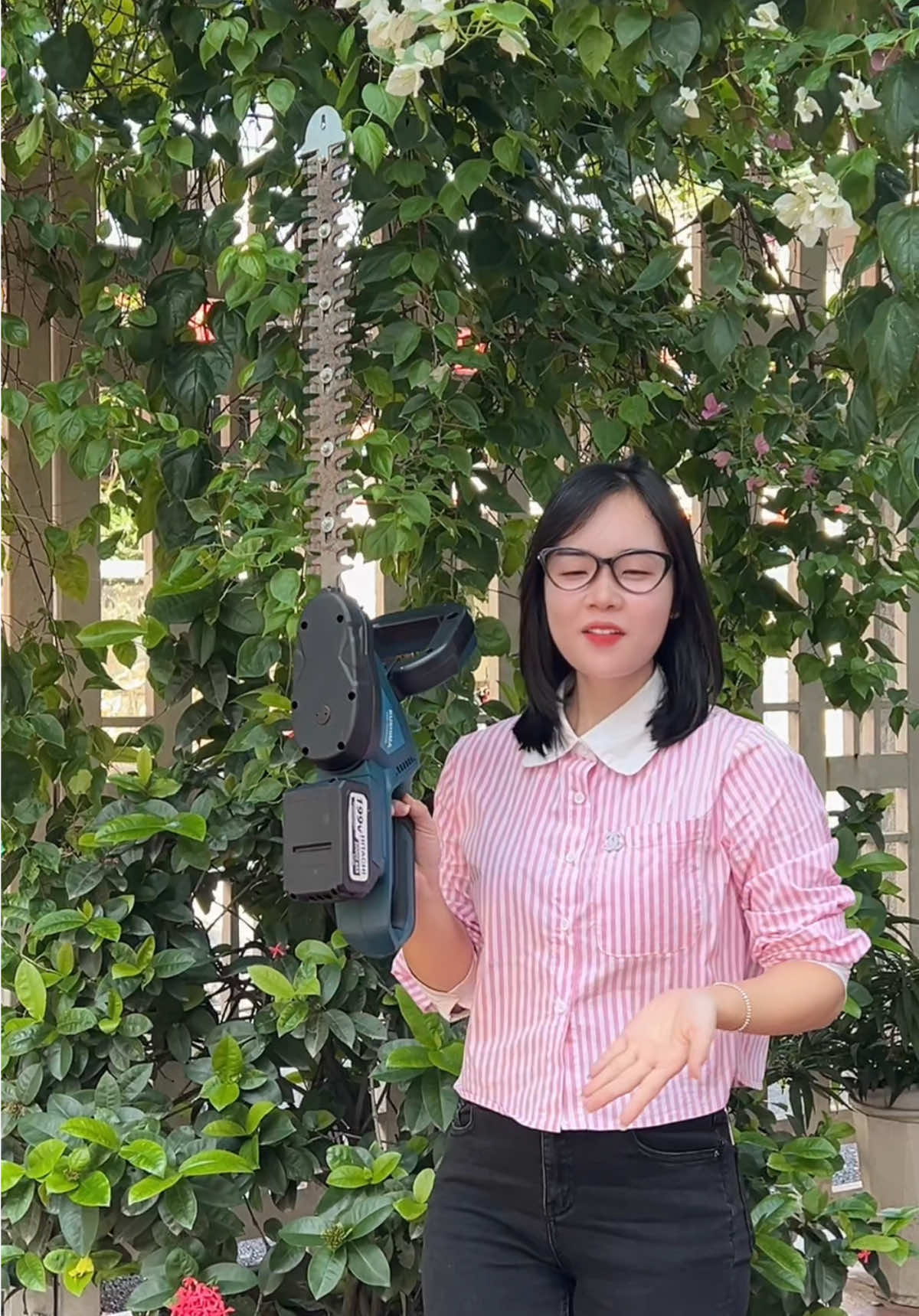 máy cắt tỉa hàng rào #maycat #maycattiahangrao #xuhuong #xuhuongtiktok #fyp 