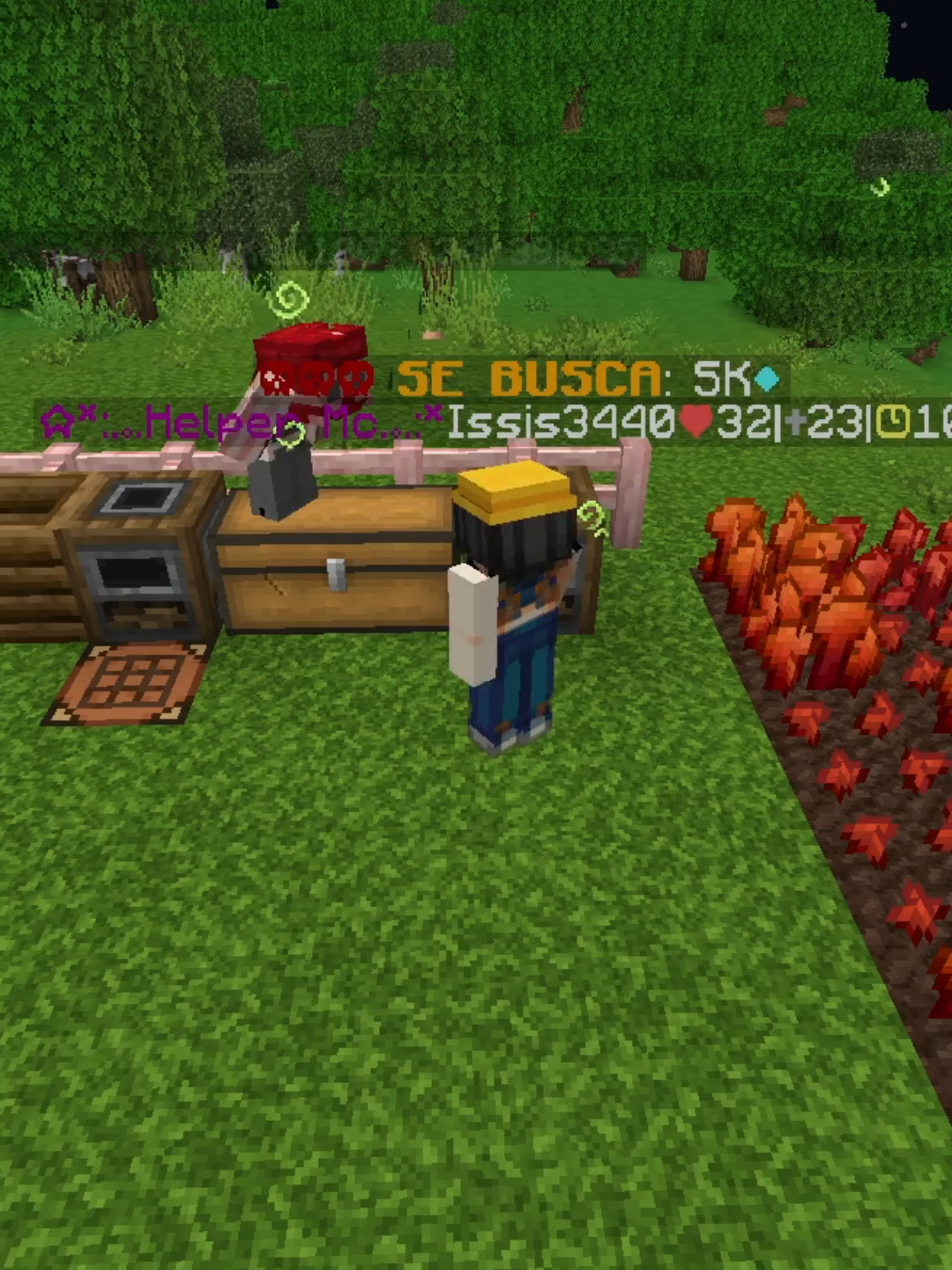 Tan rapido nos hacemos amigas aqui 🤗🤩 Mas informacion en nuestro dc <3 #Minecraft #girls #serverminecraft #serverfemenino #survival