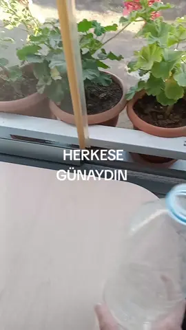 GÜNAYDIN 