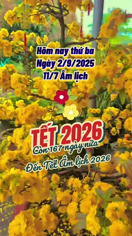 Chỉ còn 167 ngày nữa là đến Tết Âm lịch 2026 #tet2026 #naotoitet 