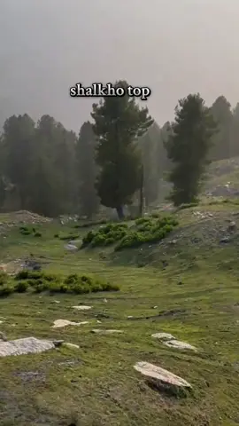 Shalkho Sar is a mountain located in Shangla District, Khyber Pakhtunkhwa, Pakistan. It rises to approximately 2,813 meters (around 9,229 feet) above sea level . #shanglaparihalak  #shalkhosar  @Milli @Milli mongol🐦‍🔥 @Peshawari queen👑 