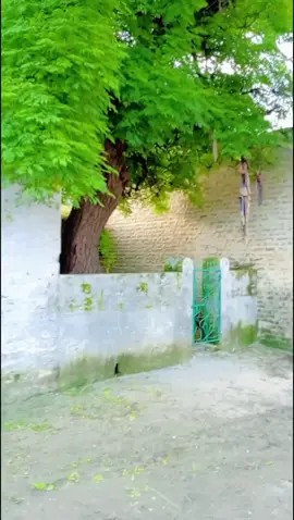 Maghal beautiful 😍#followers😘thanku🙏🙏❤️❤️❤️ #pleaseunfrezzemyaccount #shazadi😊❤ #followme❤🎼❤ 